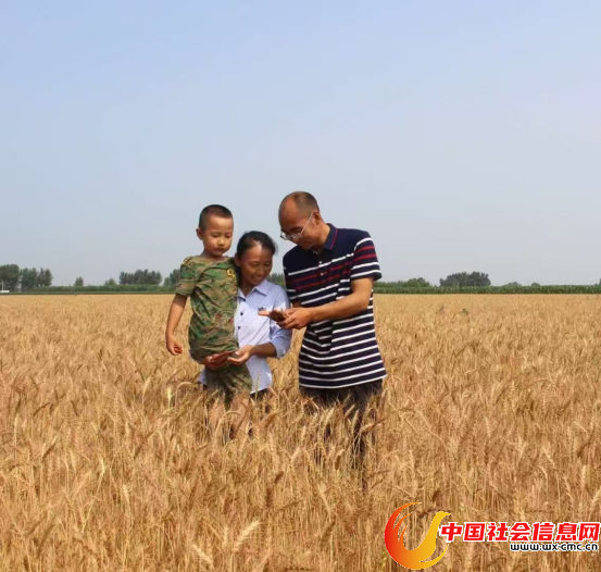 王玉德简报963 王玉德简报963