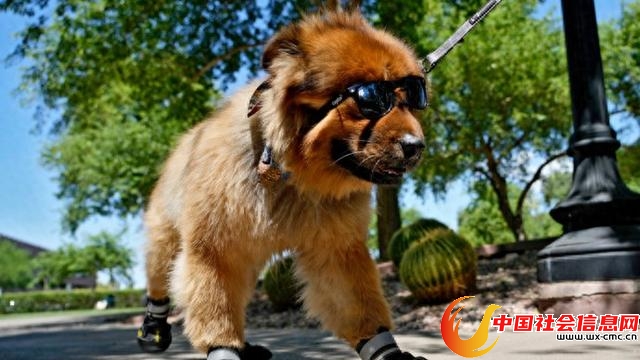 6a2eedbc3665b2bc85840f432a9a7645_6c553c59j00syoh2s0019d000hs00a0g